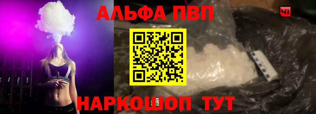 Alfa_PVP СК КРИС Гатчина